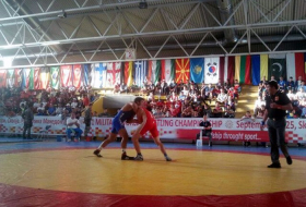 Azerbaijani wrestler wins gold at World Military Wrestling Championship 
